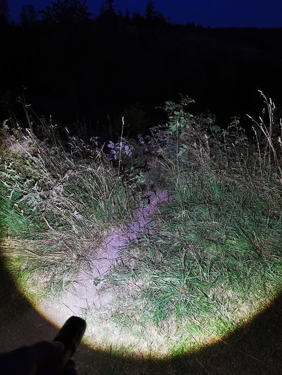 LED-Taschenlampe mit Powerbank